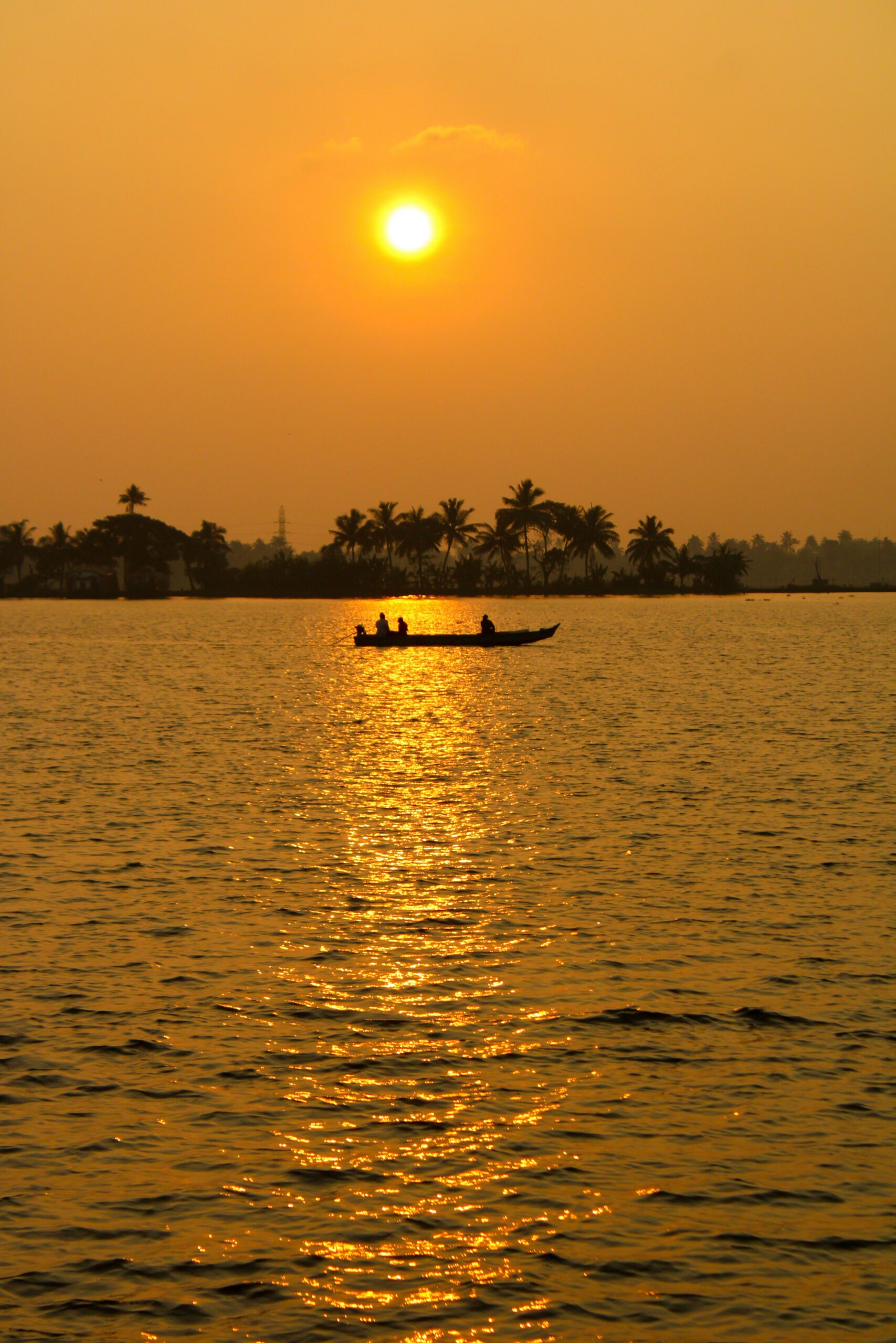 adil-shan-zD5xRD2UVDA-unsplash