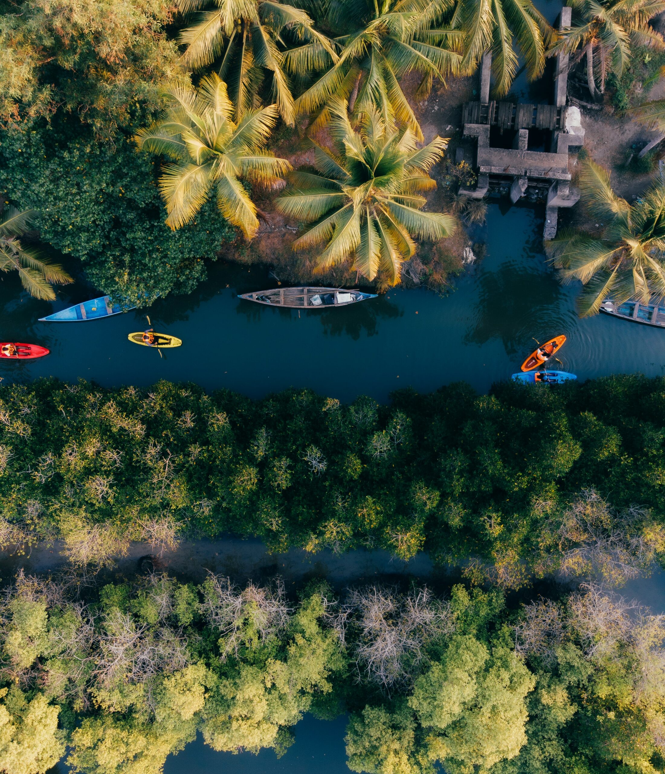 anantha-krishnan-pjqX-8CMq0A-unsplash