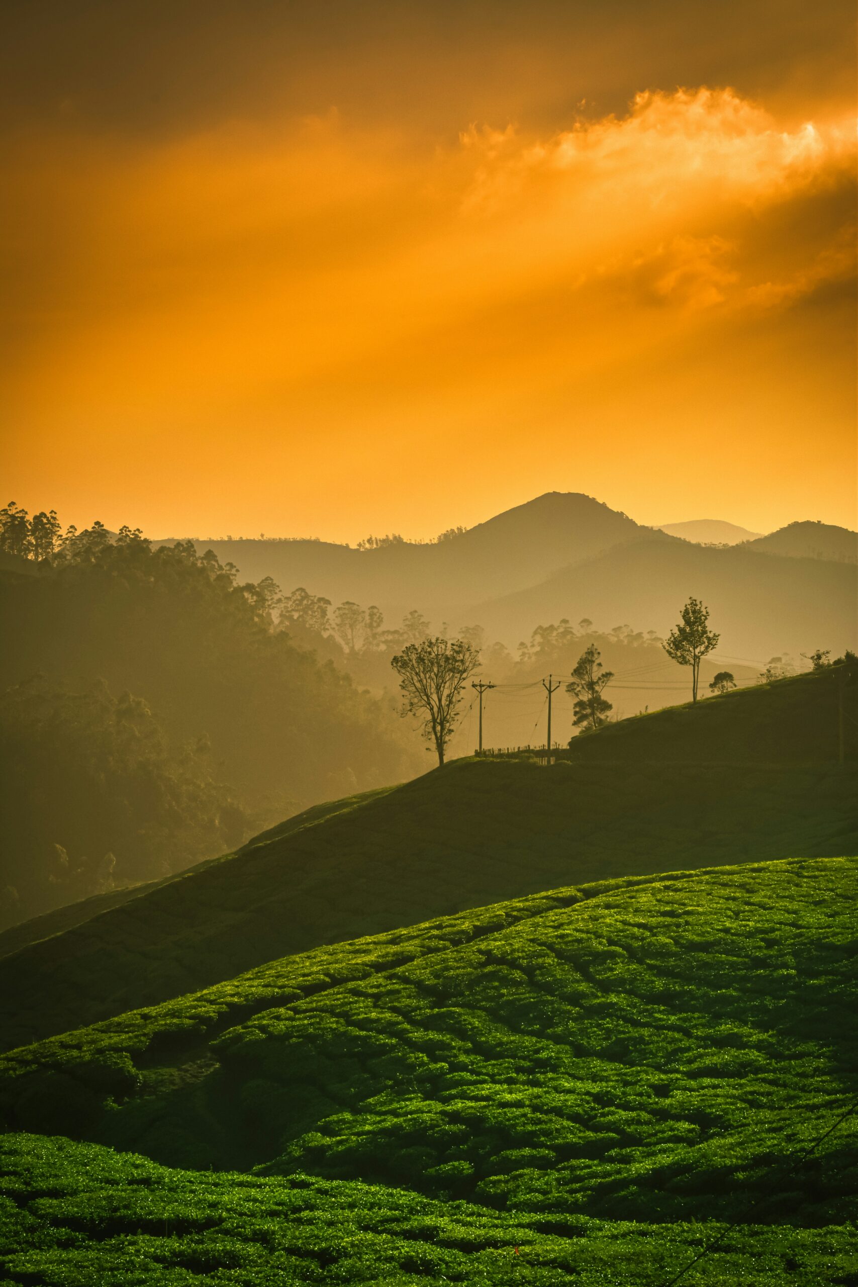 Munnar