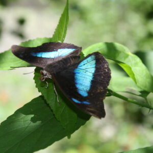 2010 April Puerto Maldonado 820