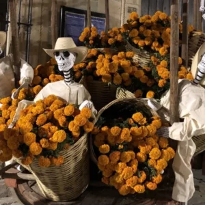 day-of-the-dead-oaxaca-where.jpg