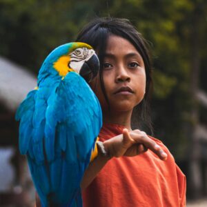 romina-veliz-djHb-Wn7plw-unsplash